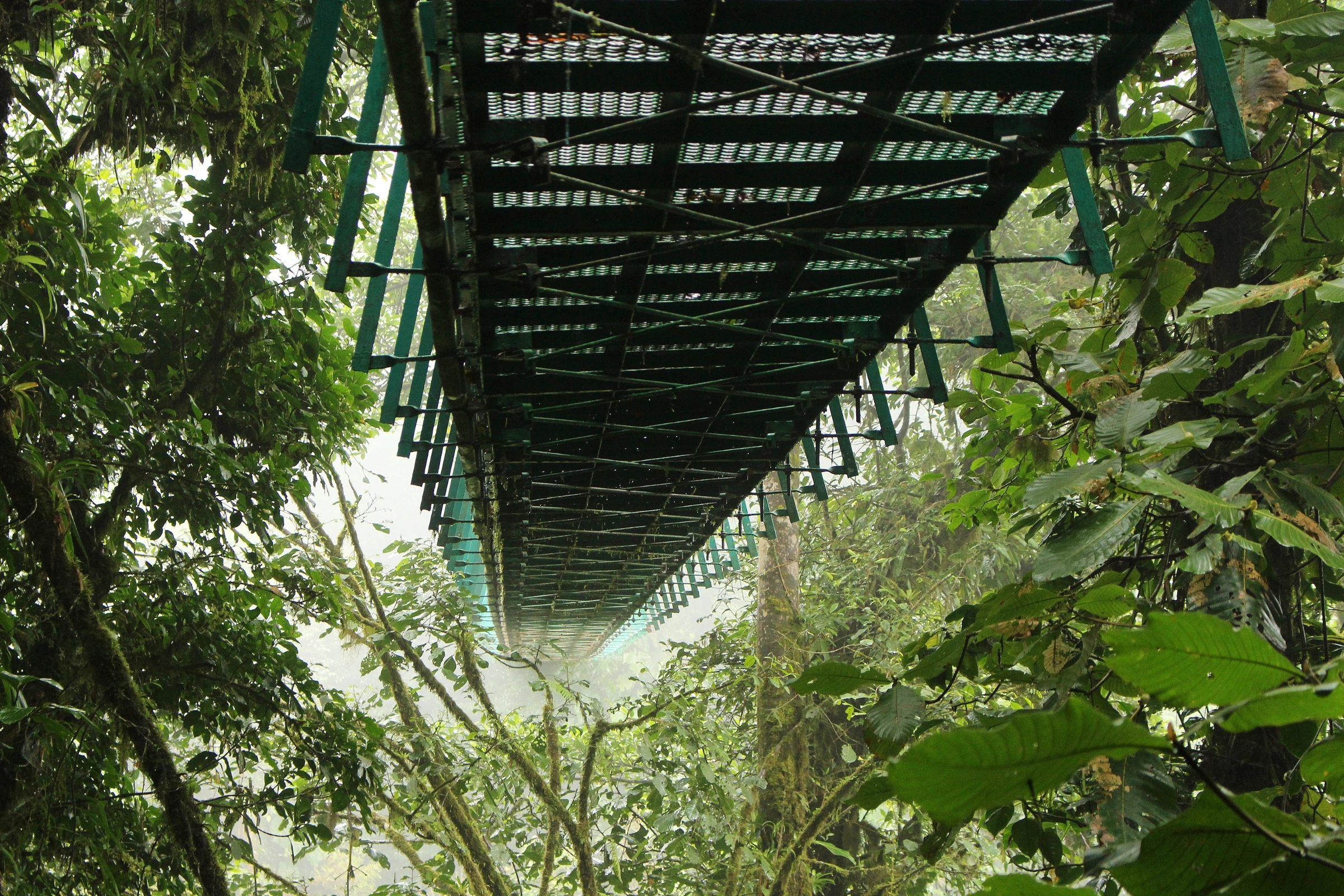 Selvatura_Adventure_Park[1].webp